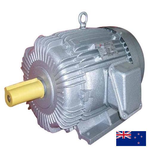 Асинхронные электродвигатели из Новой Зеландии