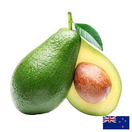 Авокадо из Новой Зеландии