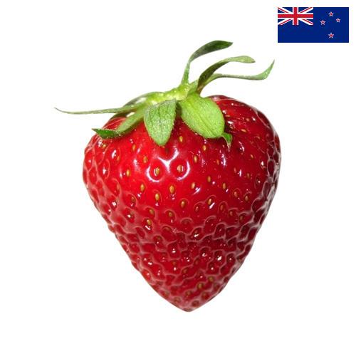 Клубника из Новой Зеландии
