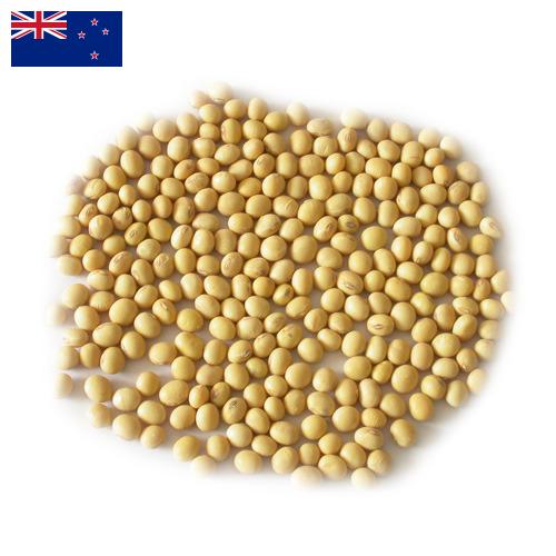 Семена сои из Новой Зеландии