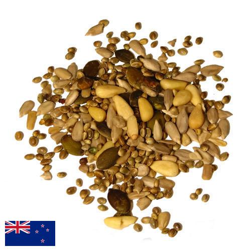 Семена из Новой Зеландии