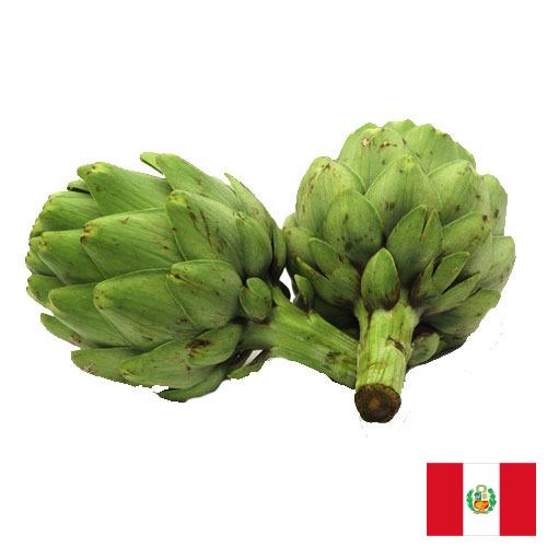 артишок из Перу