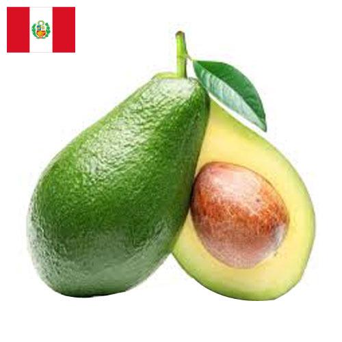 Авокадо из Перу