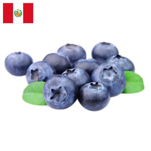 Черника из Перу