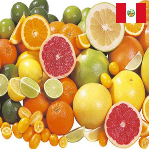 Цитрусовые фрукты из Перу