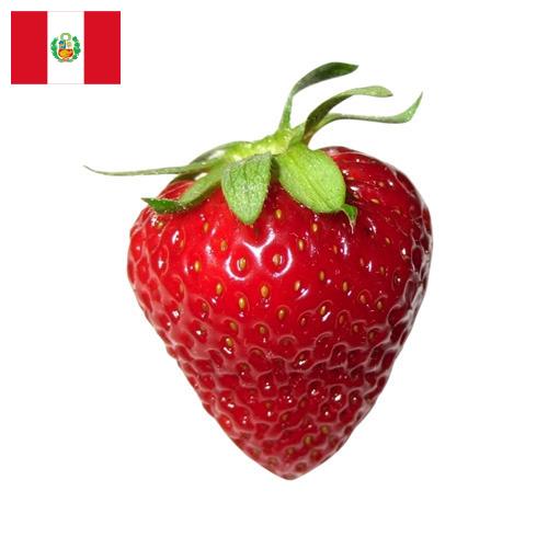 Клубника из Перу