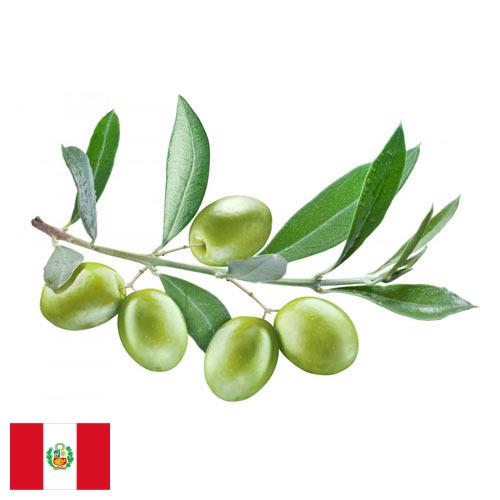 Маслины из Перу