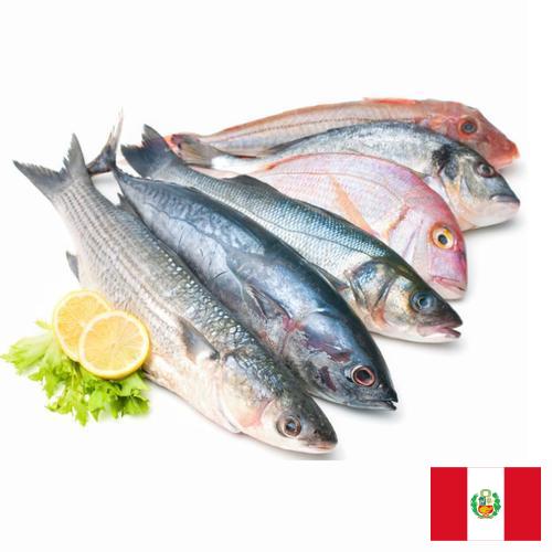 Морепродукты из Перу