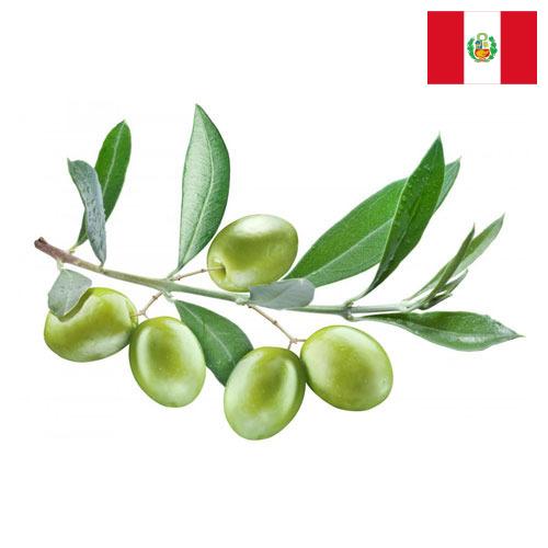 Оливки из Перу