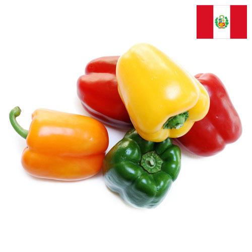 перец сладкий свежий из Перу