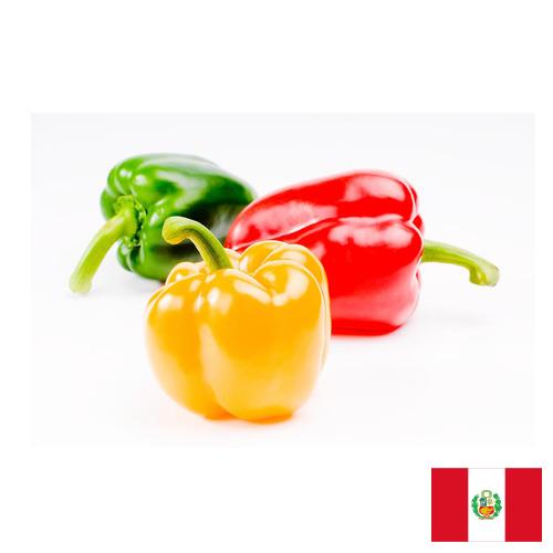 Перец сладкий из Перу