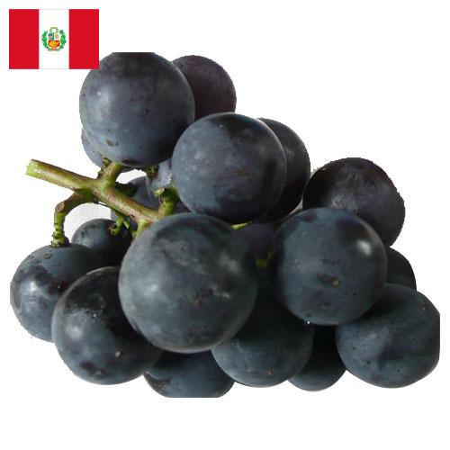 виноград столовый из Перу