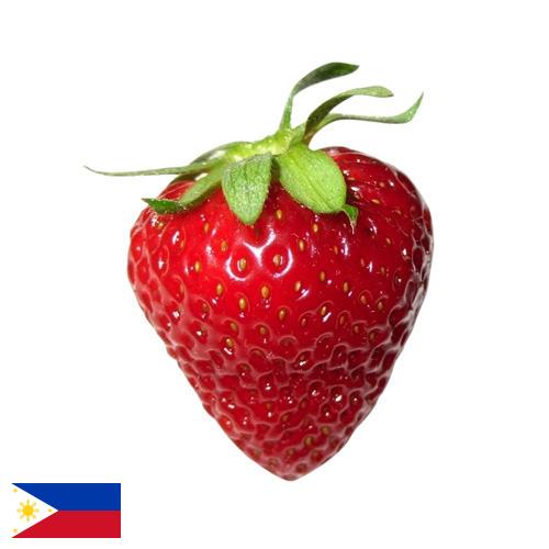 Клубника из Филиппин