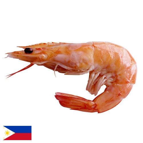 Креветки из Филиппин