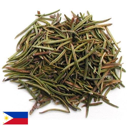 зелень сушеная из Филиппин