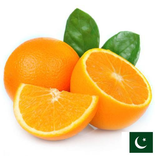 апельсины свежие из Пакистана