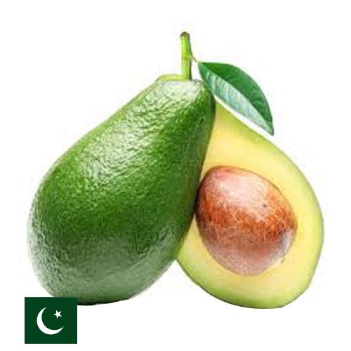 Авокадо из Пакистана