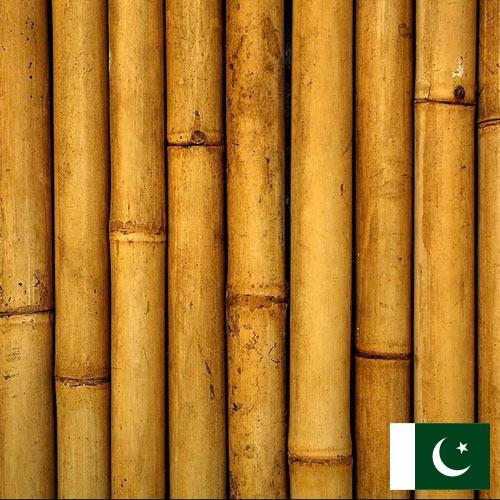 Бамбук из Пакистана