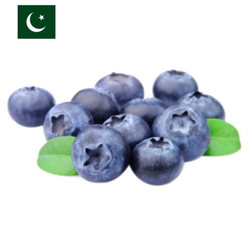 Черника из Пакистана
