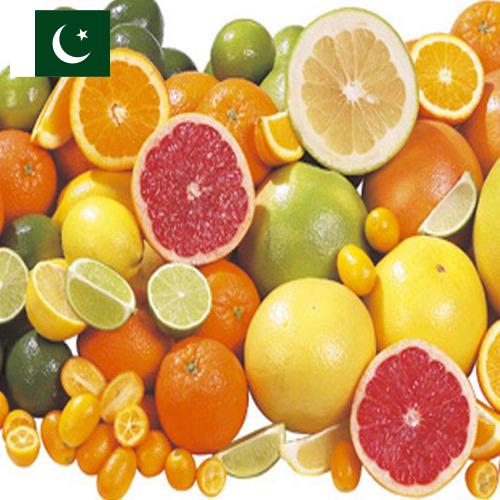 Цитрусовые фрукты из Пакистана