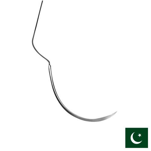 Иглы хирургические из Пакистана