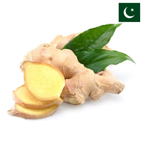 Имбирь из Пакистана