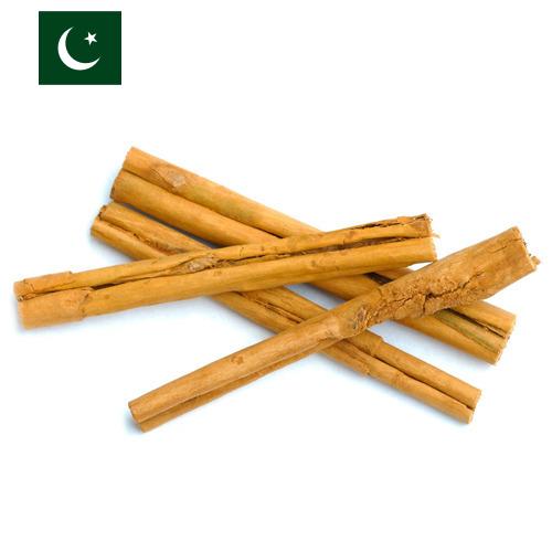 Корица из Пакистана