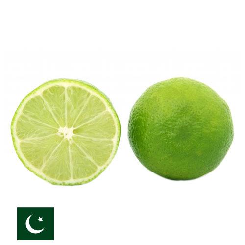 лайм из Пакистана