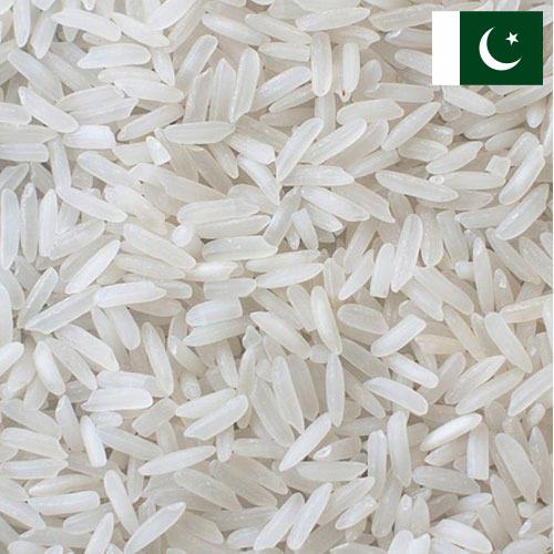 рис длиннозерный из Пакистана