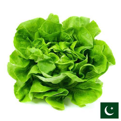 салат из Пакистана