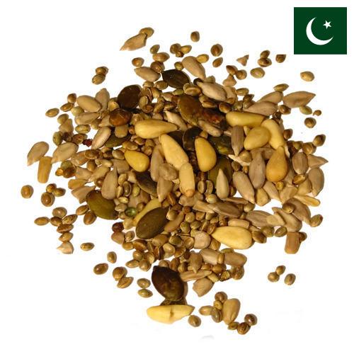 Семена из Пакистана