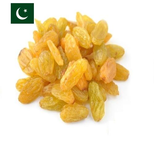 виноград сушеный из Пакистана