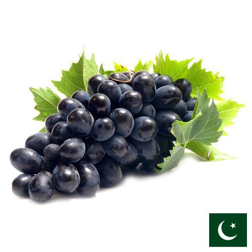 Виноград из Пакистана