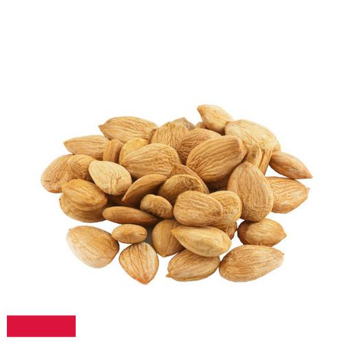 Абрикосовые косточки из Польши