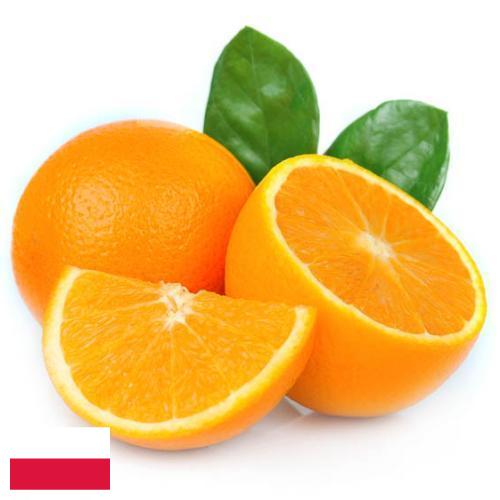 Апельсины из Польши