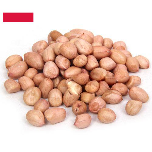 арахис сырой из Польши