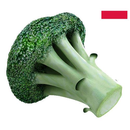 брокколи из Польши
