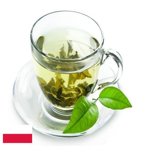 чай зеленый байховый из Польши