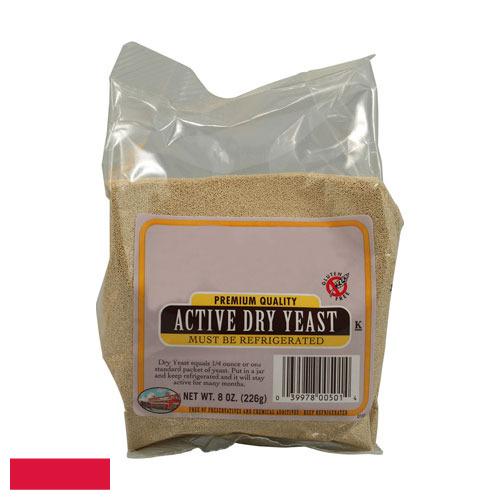 дрожжи сухие из Польши