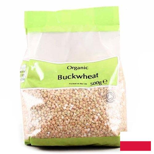 Гречневая крупа из Польши