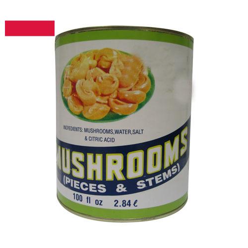 Грибы консервированные из Польши