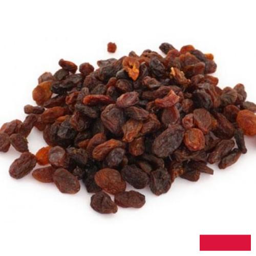 Изюм из Польши