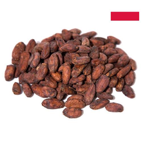 какао бобы из Польши