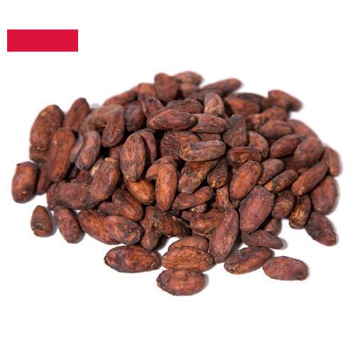 какао-бобы из Польши