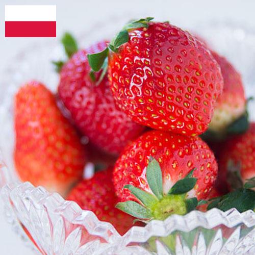 клубника замороженная из Польши
