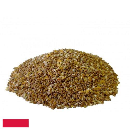 Корма для птицы из Польши