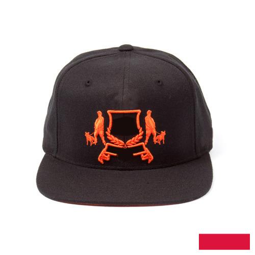 Козырьки из Польши