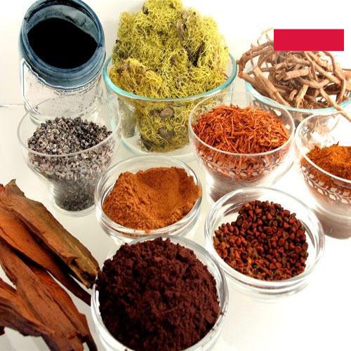 Красители натуральные из Польши