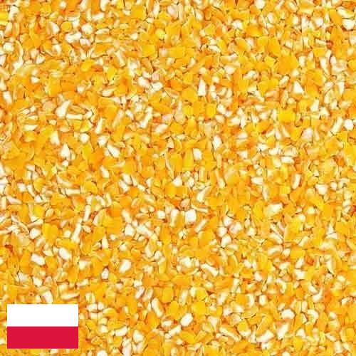 Кукурузная крупа из Польши