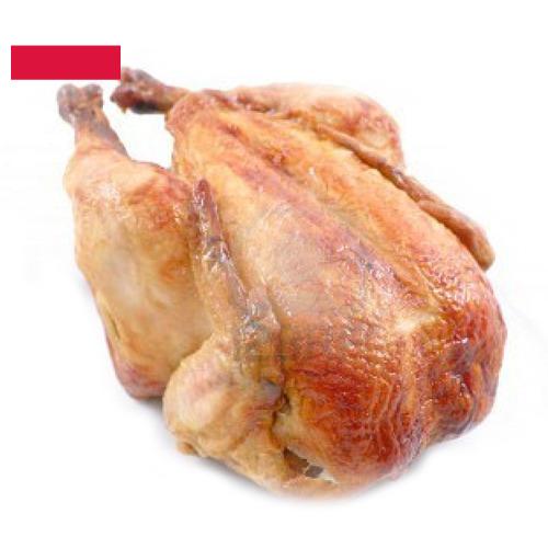 Кура из Польши